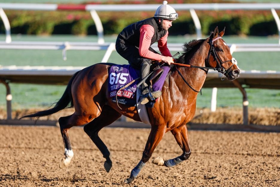 Horse Racing: 2025 Breeders Cup Championship-Workouts