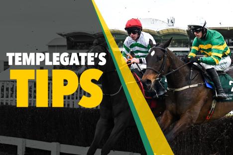 Horse racing tips: ‘She’s very progressive with huge potential’ – Templegate’s 7-2 NAP can blow this field apart
