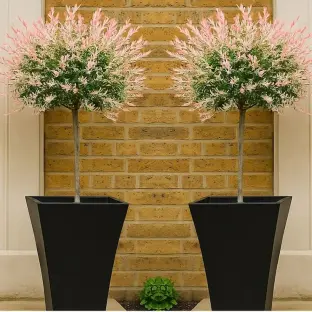 gardening-express-two-flamingo-topiary-trees