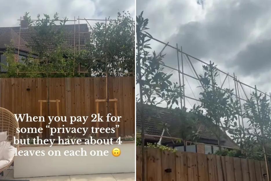 I forked out £2k on a blackout privacy fence – but I forgot about an important step & now everyone can still see in
