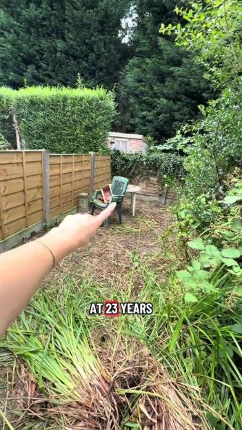 A finger pointing at a neglected backyard with an old chair, table, and shed.