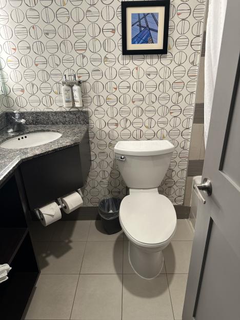 Bathroom with toilet, sink, and patterned wallpaper.