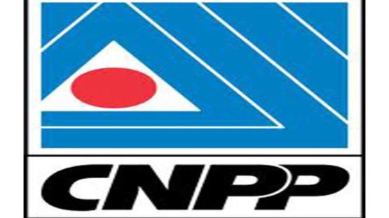 CNPP, Civil society groups demand resignation of minister of power over electricity crisis
