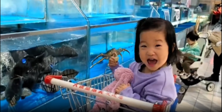 A fish jumping from a supermarket tank and hitting a young girl in a shopping cart.