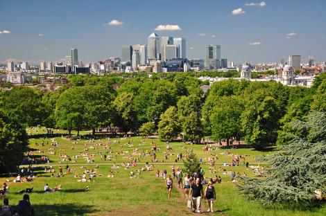 Huge London park with one of UK’s best playgrounds welcomes the first herd of deer in years