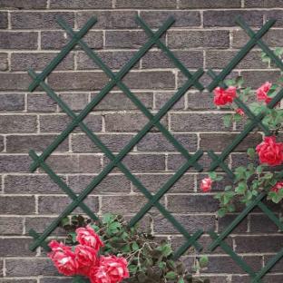 Green trellis on a brick wall with climbing roses.