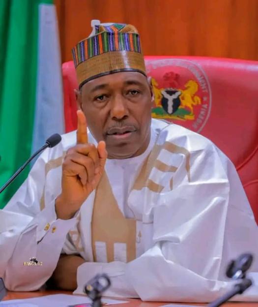 Borno Govt resettles 3,000 IDPs