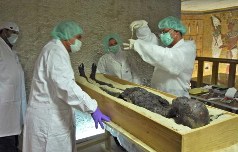 How ‘Pharaoh’s curse’ may help fight CANCER after leukaemia-battling chemical found in fungus linked to King Tut deaths