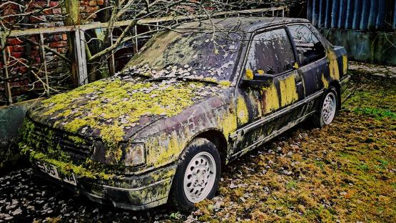 Look inside incredible abandoned graveyard of vintage cars & fire engines left to rot for years – including luxury BMW