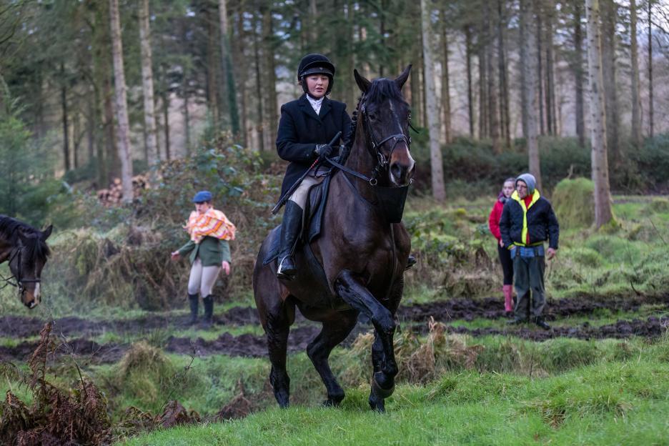 Woman show jumping in a wooded area.