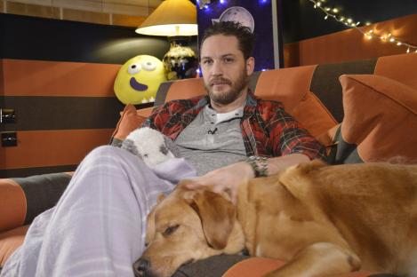 Tom Hardy cuddling his dog on a couch.