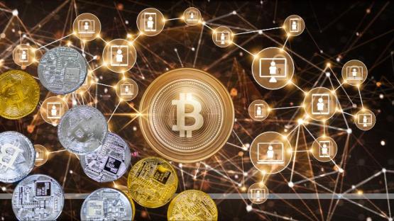 Stablecoins Surge: The Surprising Bull Run While Altcoins Sputter