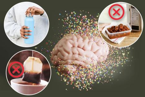 The 3 easy ways to prevent toxic plastics ‘destroying’ your brain – as doctor warns of ‘damage and dementia risk’