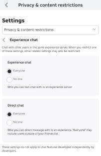 Roblox experience and direct chat settings.