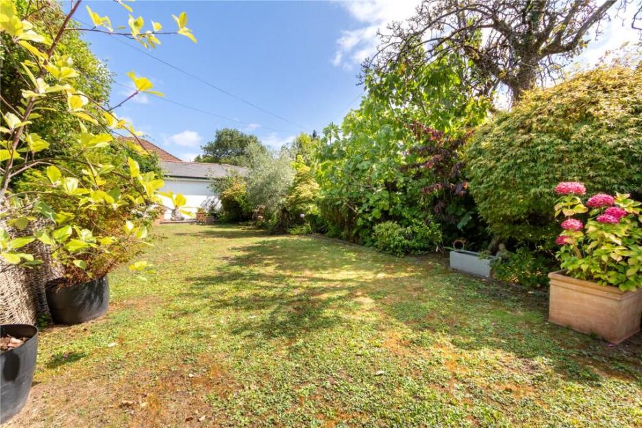A green backyard with a grassy lawn, various bushes and trees, and a house in the distance.