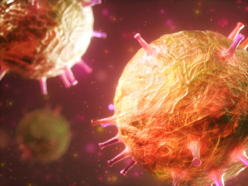 Viruses