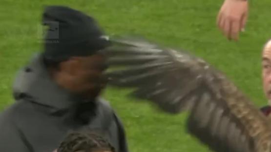 Moment Chelsea flop is attacked on pitch by his own club mascot after Bundesliga clash