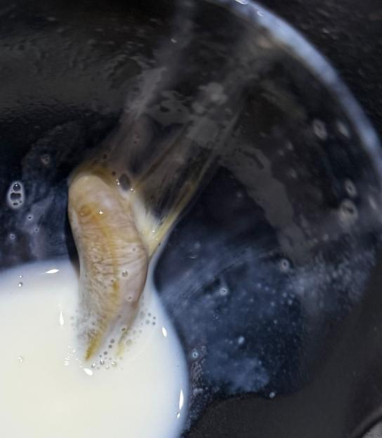 NINTCHDBPICT001034705441