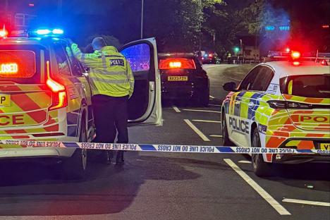 Boy, 19, killed while crossing road in horror hit-and-run as two teens, 15 and 19, are arrested