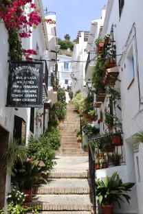 Steep, plant-lined street in Velez Malaga, Spain.