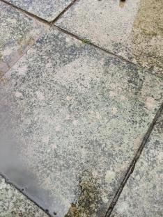 Dirty patio slabs with mold and a puddle of water.