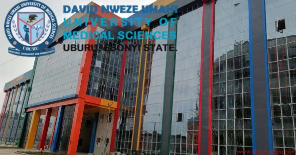 Medical, Dental Consultants seek FG’s intervention in Umahi Varsity crisis