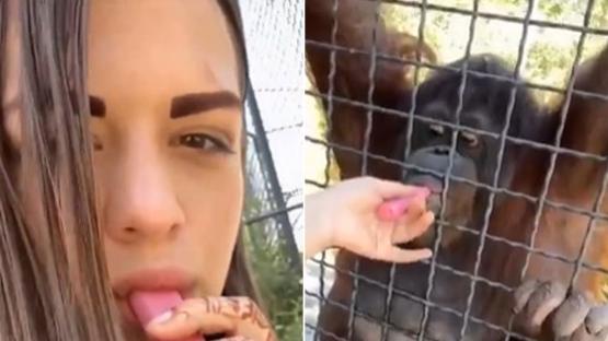 Shocking moment MMA star gives orangutan a VAPE sparking furious backlash as she faces punishment