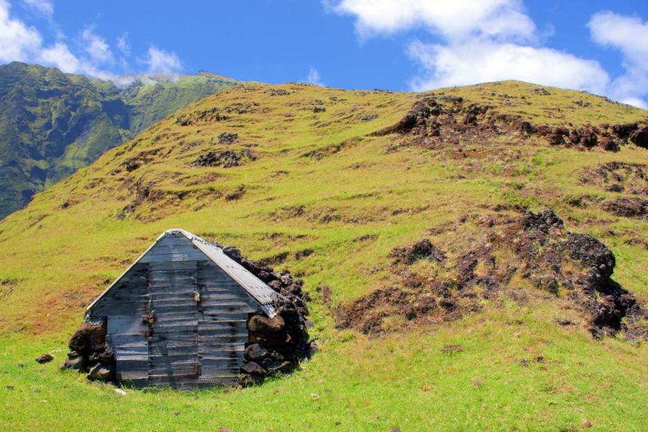 Look around the tiny English island with a volcano, rare wildlife & 250 residents who have one of 7 surnames
