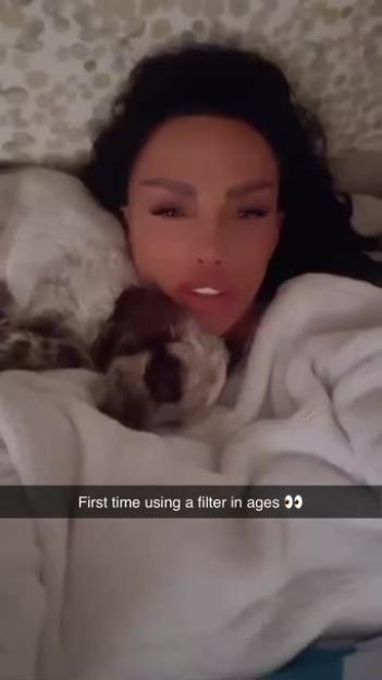 Katie Price Snags Another Puppy Amid Controversy Over Pet Ownership