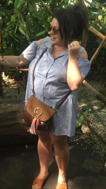 Woman in a blue dress interacting with a parrot.
