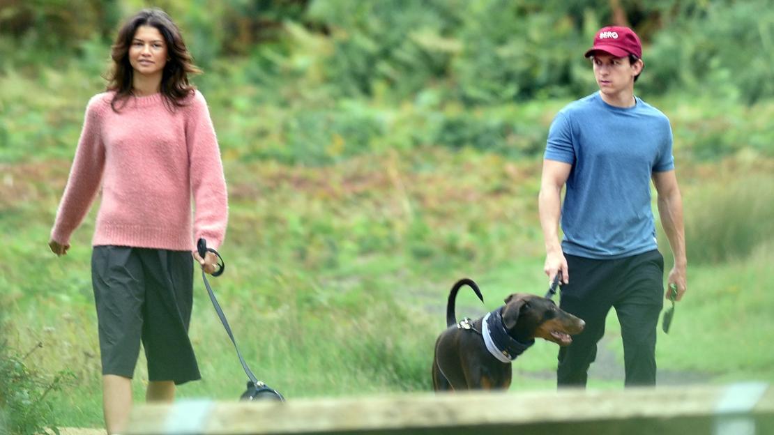 Tom Holland & fiancée Zendaya spotted walking dogs in London park — with actress wearing her £200,000 engagement ring