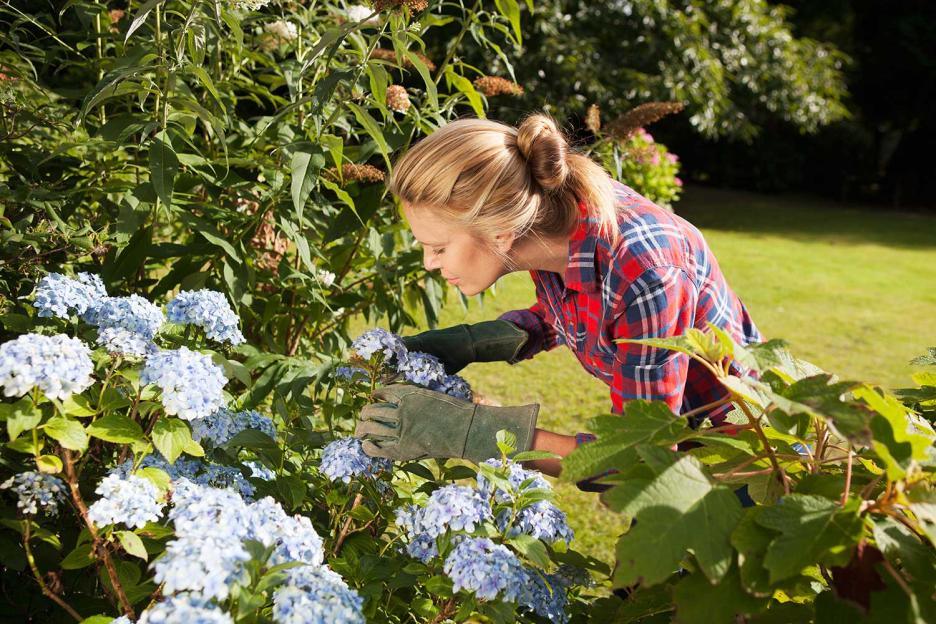 Op-ma-gardening