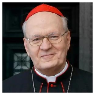 Vatican: Two cardinals who may make history as first African pope in 1,500 years 5