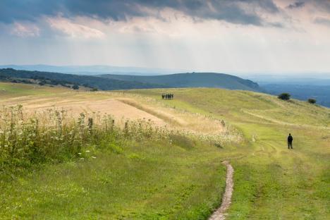 Hikers on a path across rolling hills.