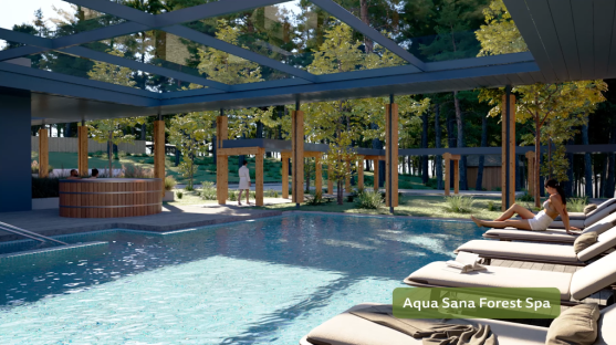 Illustration of Aqua Sana Forest Spa with pool and hot tub.
