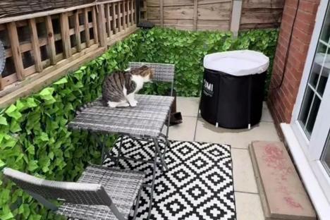 I live in an annexe in my nan’s back garden with a cute private patio – I got it ready for spring with a £15 Temu find