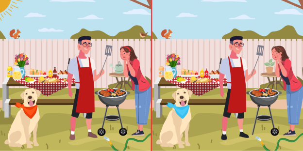 Illustration of a find-the-differences puzzle showing two nearly identical scenes of a family barbecue.