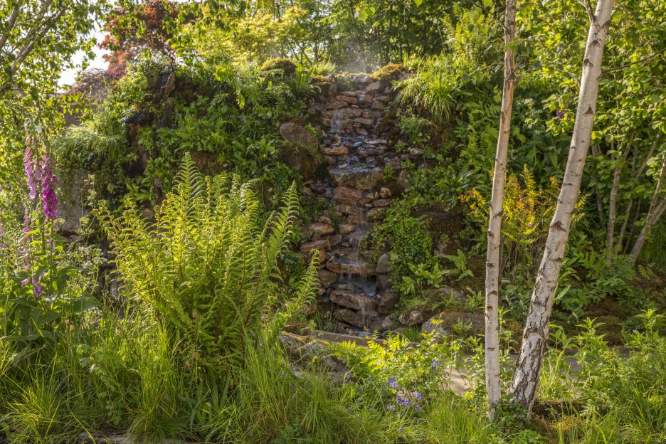 Garden designer reveals £2.75 Tesco trick to turn plain gardens into lush rainforest paradise