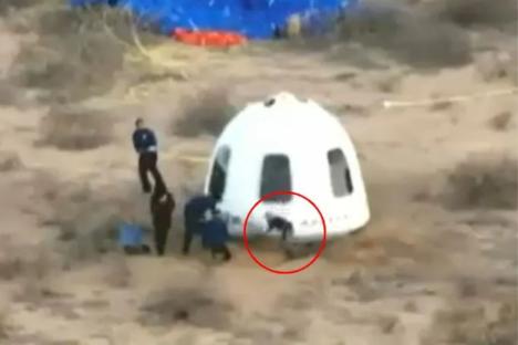Watch excited Jeff Bezos face-plant in painful tumble as he runs to greet fiancee Lauren Sanchez in Blue Origin capsule