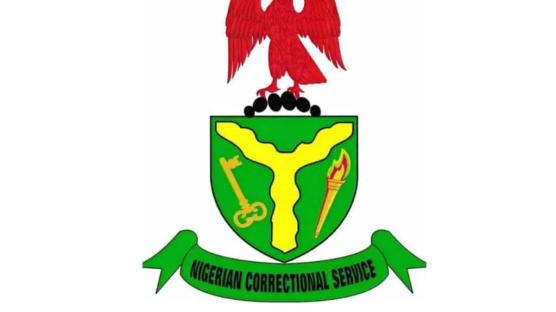 NCoS breaks silence over alleged illegal detention of Patience Jonathan’s domestic staff