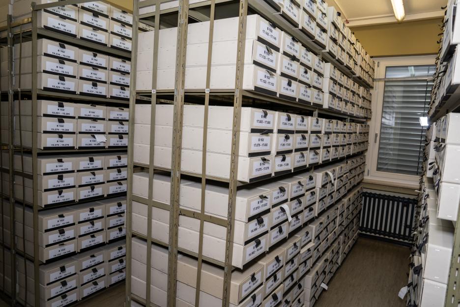 Numerous white archival boxes, labeled with series B 162 and various number ranges, are neatly stacked on metal shelves within an archive room.