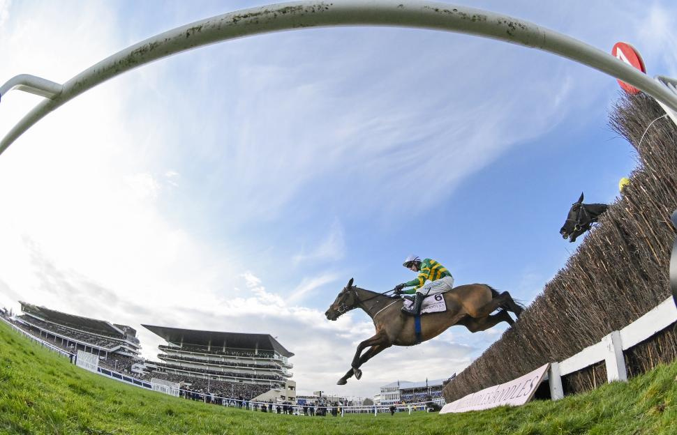 Horse ridden by Mark Walsh jumping a fence at the Cheltenham Gold Cup.