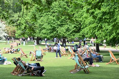 People relaxing in deck chairs in a sunny park.