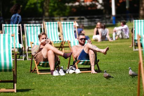 Two men relax in deck chairs in a park, using their phones.