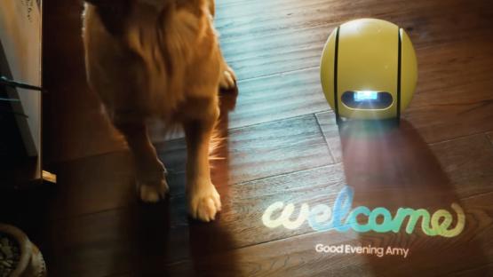 Samsung to release Ballie ‘rolling robot helper’ for your house in weeks – and it gives you a TV ANYWHERE you want it