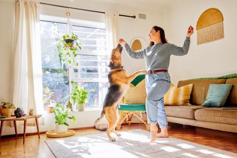 Woman dancing with her German Shepherd in their living room.