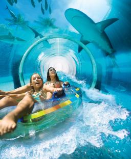 Two girls on a water slide passing sharks in a transparent tube.