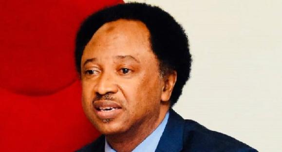 US: Trump’s tariffs suicide mission for Nigeria – Shehu Sani claims