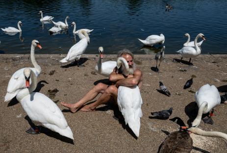 ‘Swan Whisperer’ who ‘cuddled and kissed’ birds BANNED from London park after ramming concerned woman with bike