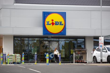 ‘Run don’t walk’ to Lidl cry gardening fans as they snap up £9.99 plant that looks ‘so pretty’ all summer